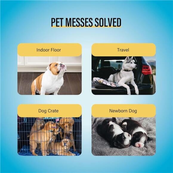 Training Pads, 30"X36", 40 Count, XXL - Picture 5 of 7